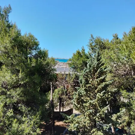 Casa Luisa Lido Conchiglia